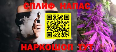 тгк Новодвинск