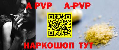 тгк Новодвинск