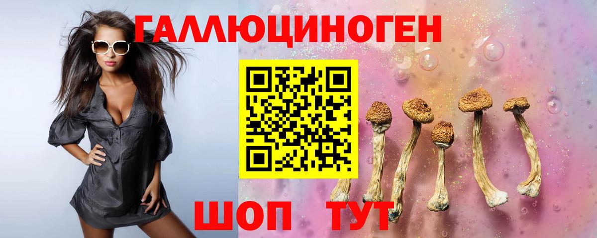 Псилоцибиновые грибы ЛСД  Вход с VPN  Нальчик 